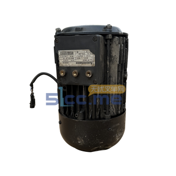 EFG Pump motor 05045184